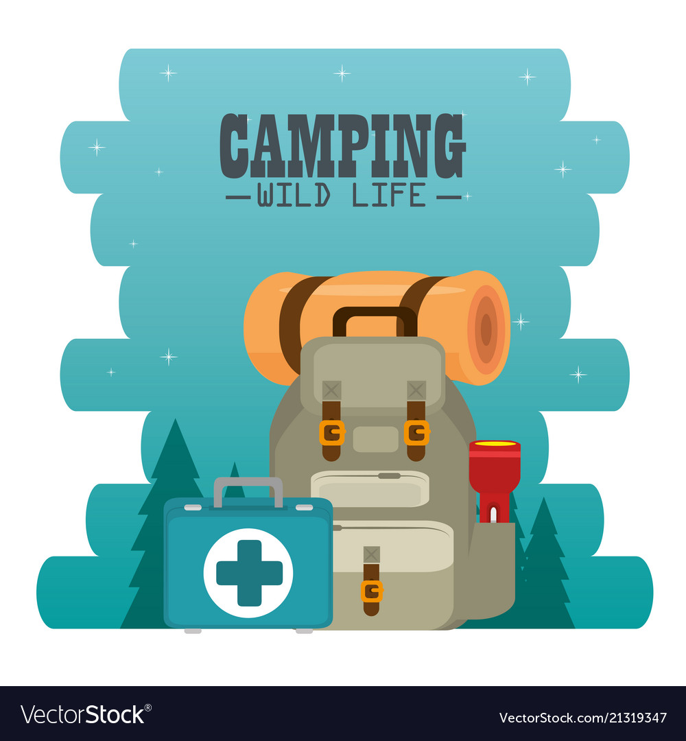 Camping zone with equipment Royalty Free Vector Image