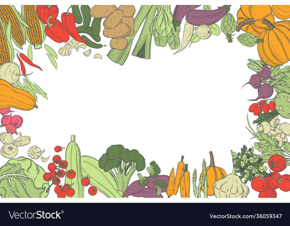 Sketch vegetables Royalty Free Vector Image - VectorStock