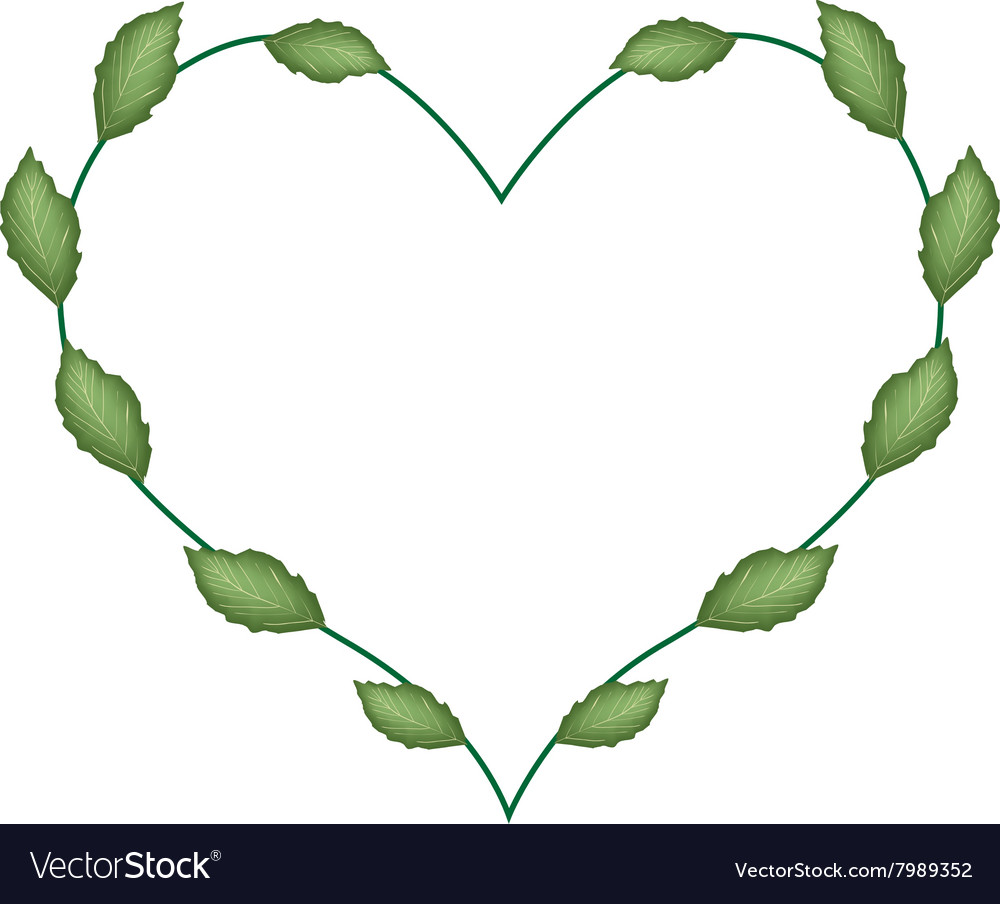 Fresh green leaves in a lovely heart shape