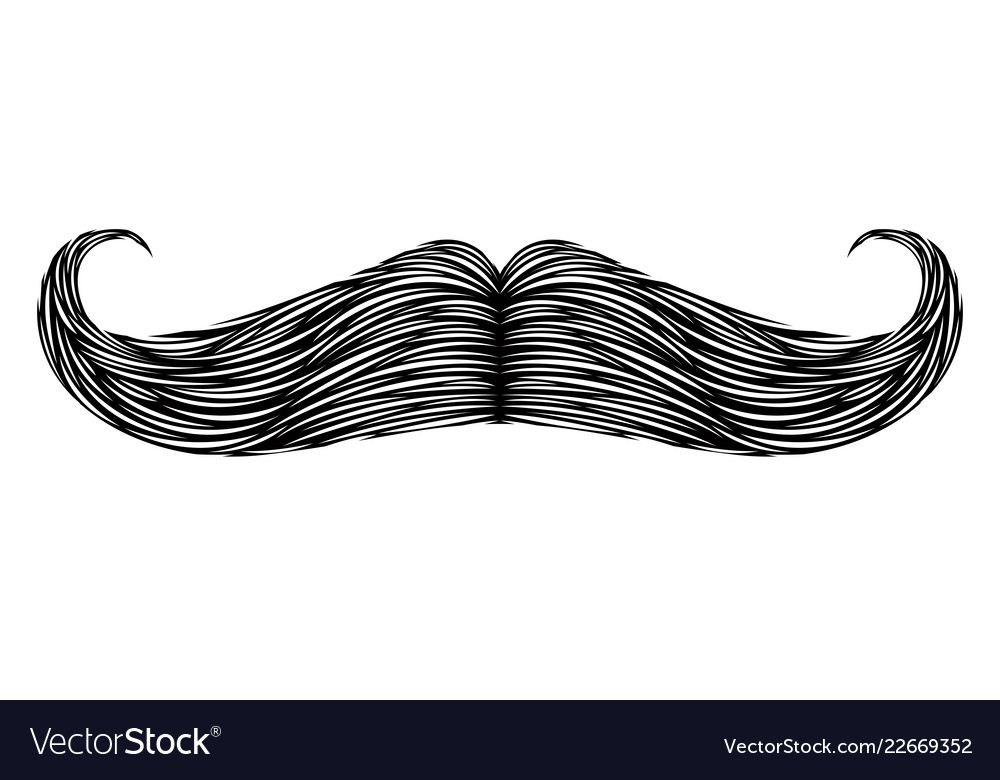 Isolated detailed mustache