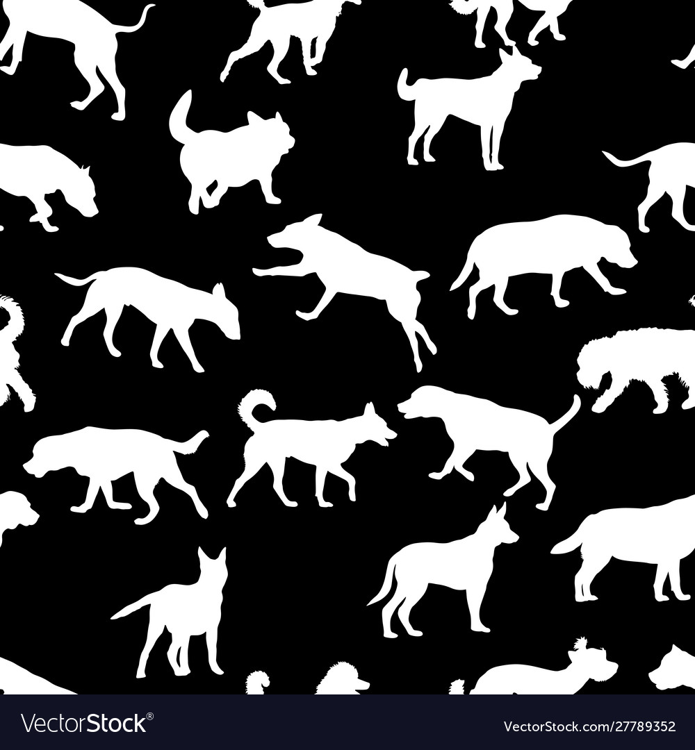 Seamless pattern with domestic dogs can be used