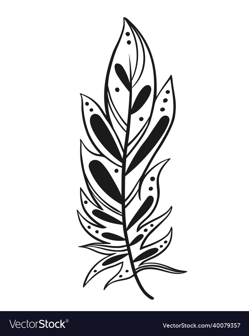 Bird feather decorated with patterns and elements Vector Image Bird feather decorated with patterns and elements