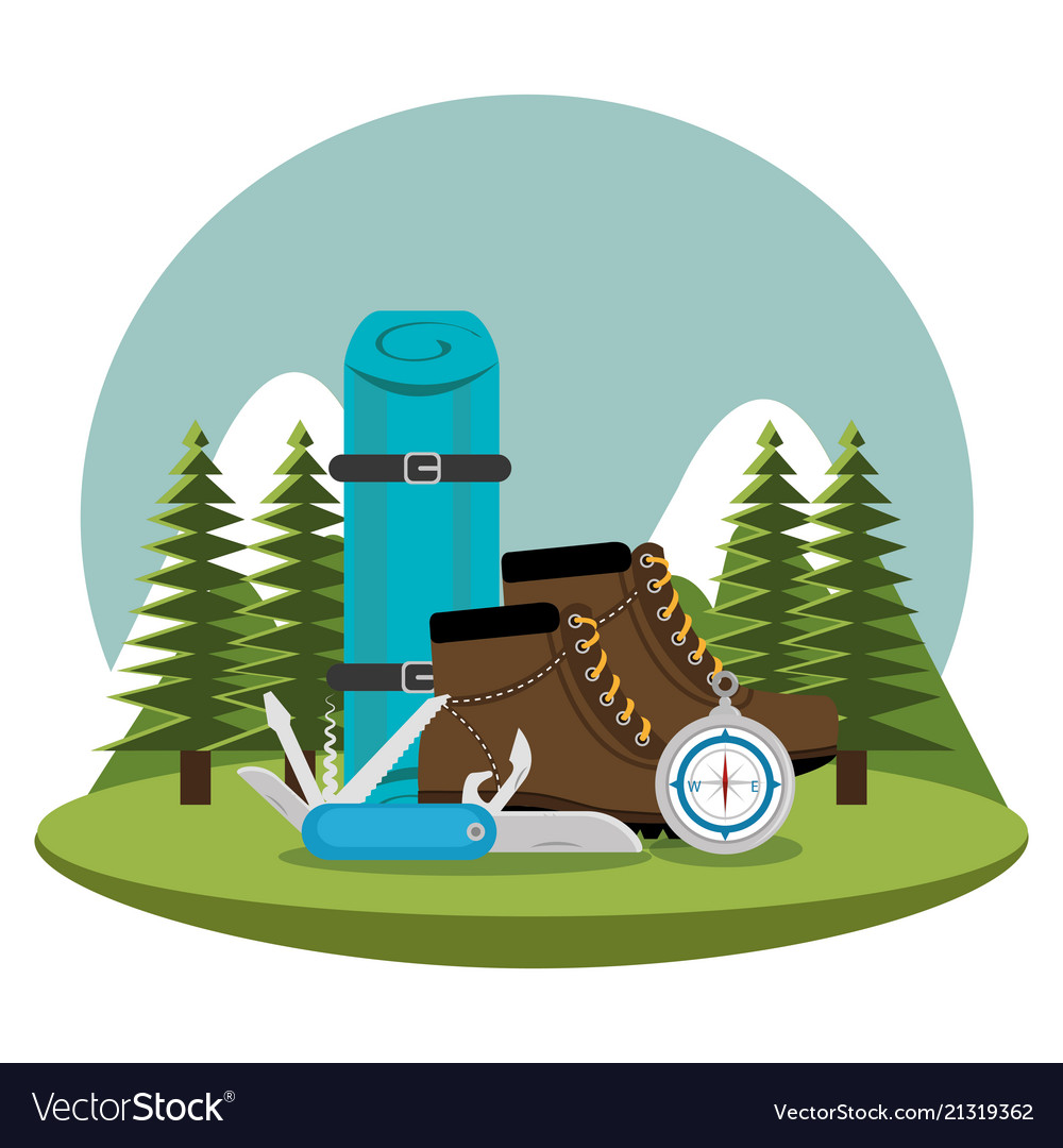 Camping zone with equipment vector image Camping zone with equipment