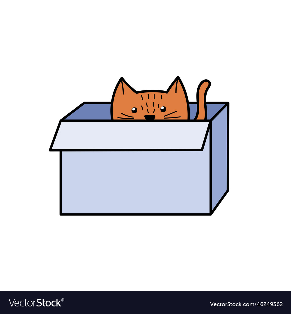 Cute cat hiding in the box funny feeling Vector Image