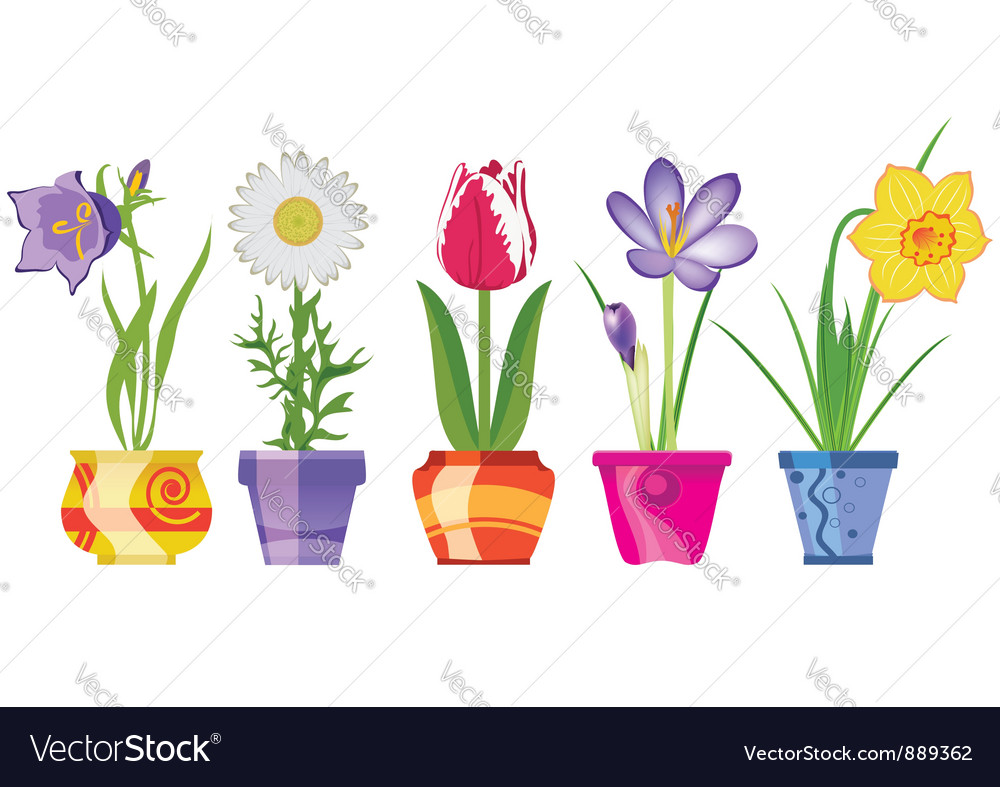 spring flowers royalty free vector image vectorstock