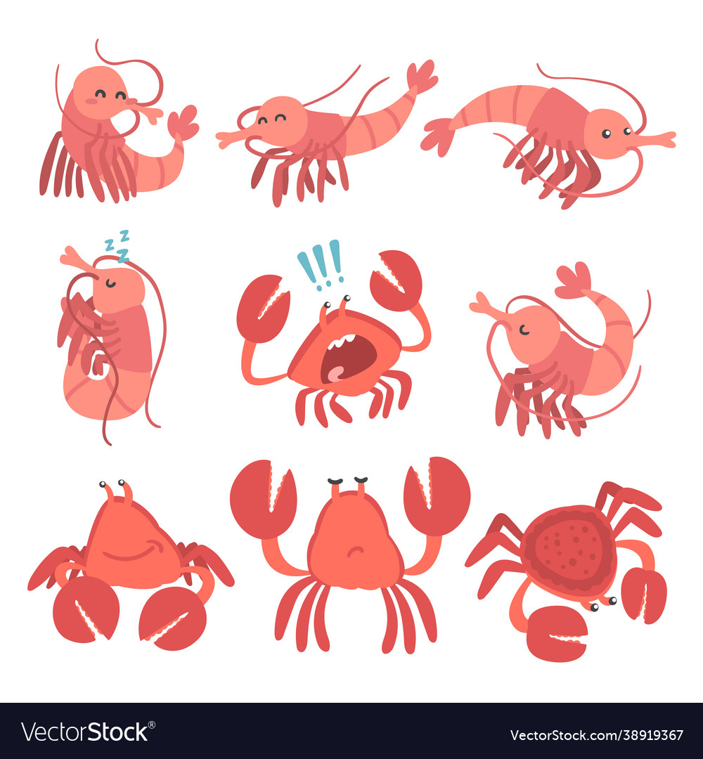 Shrimp and crab character as aquatic mammal Vector Image