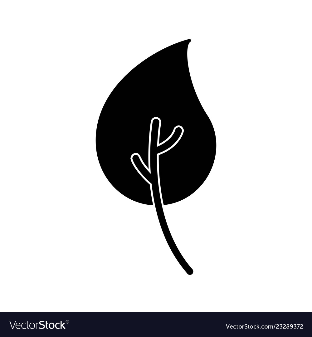 Leaf icon