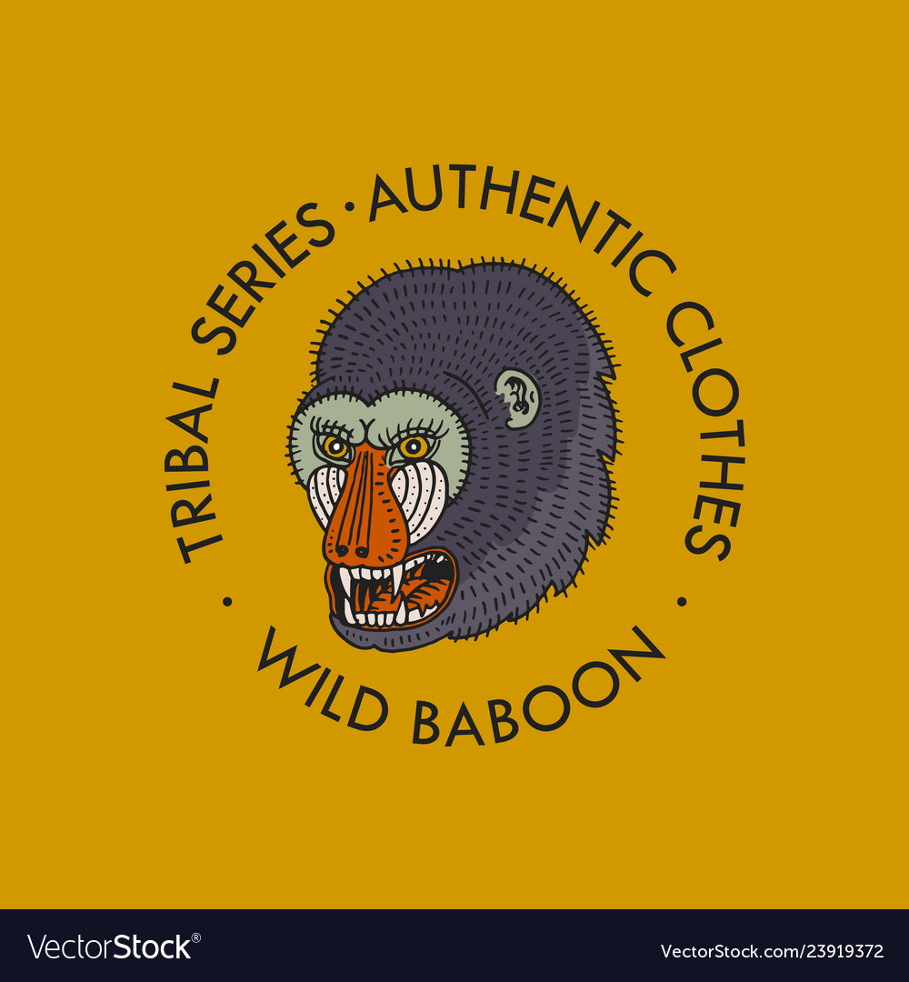 Monkey logo for t-shirt face or head of wild vector image Monkey logo for t-shirt face or head of wild