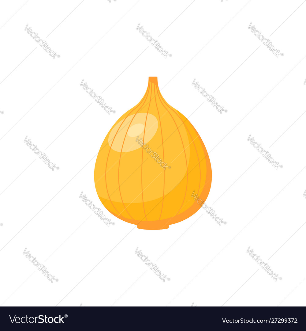 Onion icon isolated on white background