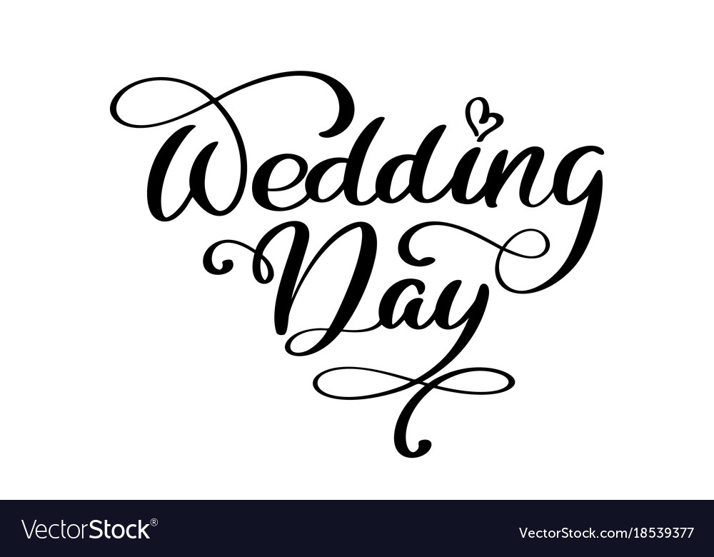 Wedding day text on white background Royalty Free Vector