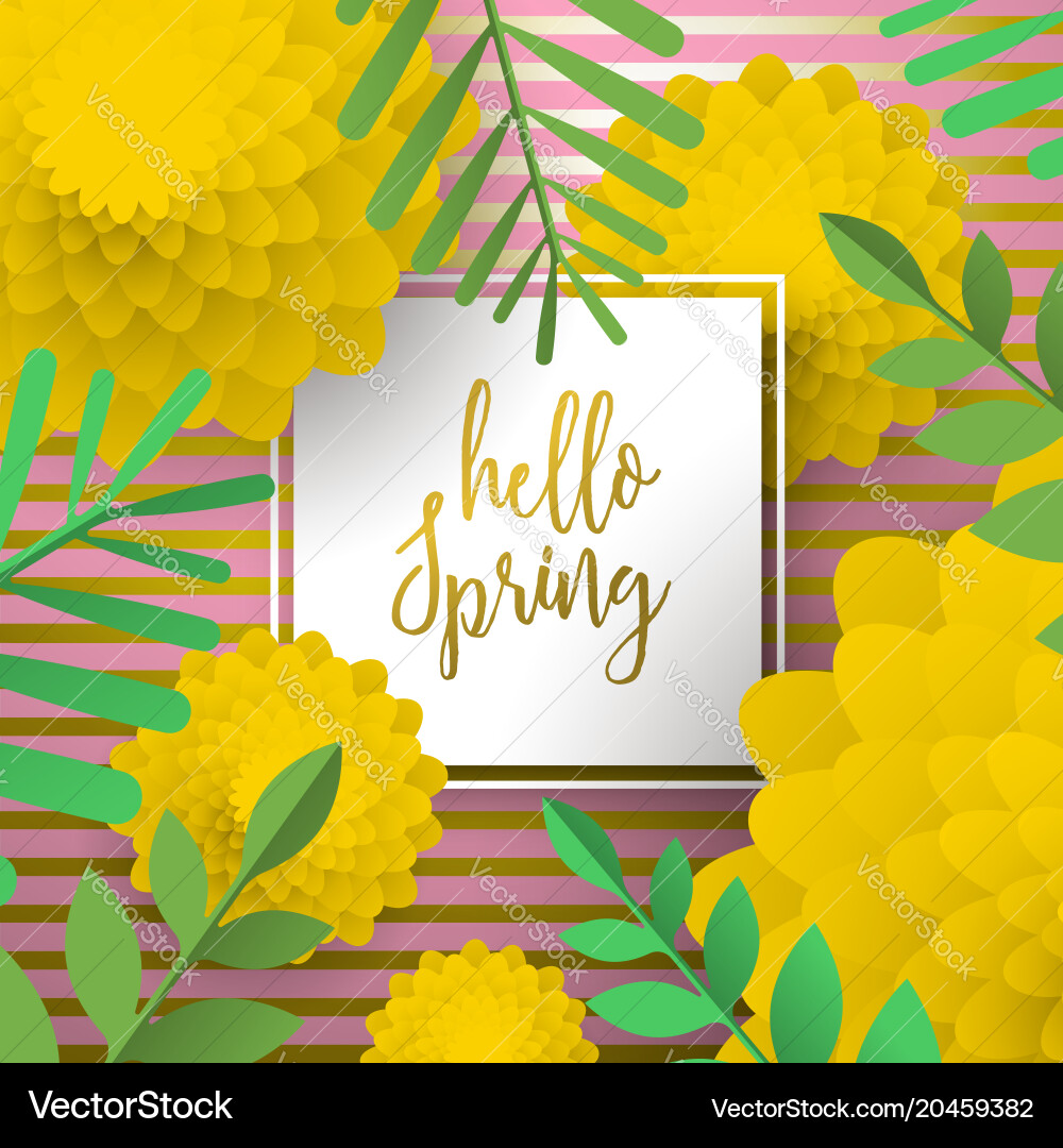Hello spring greeting card with nature decoration Vector Image
