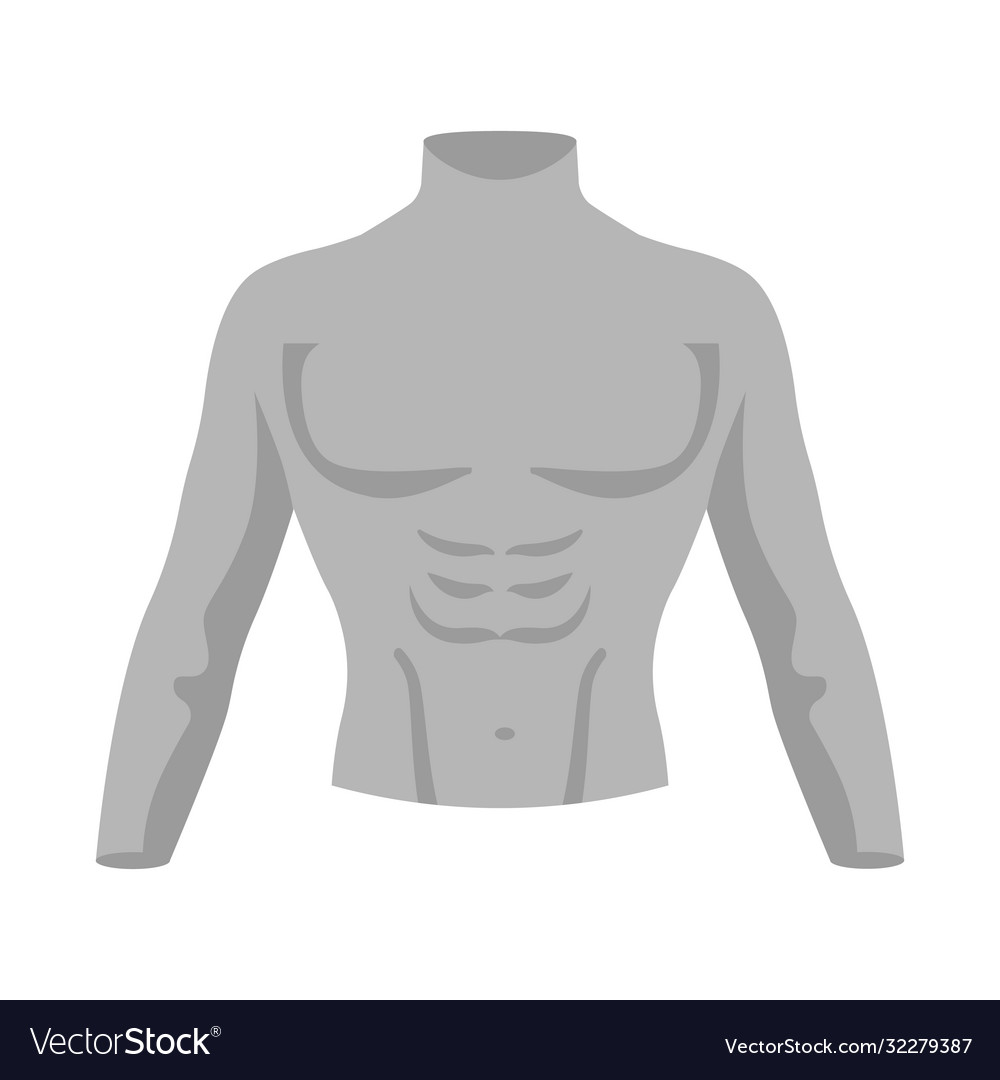 Design dummy and torso sign web element