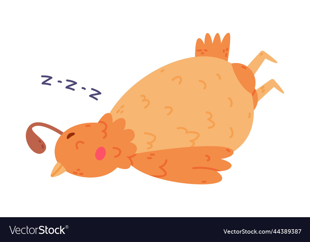 Quail bird with crest and feathers sleeping having