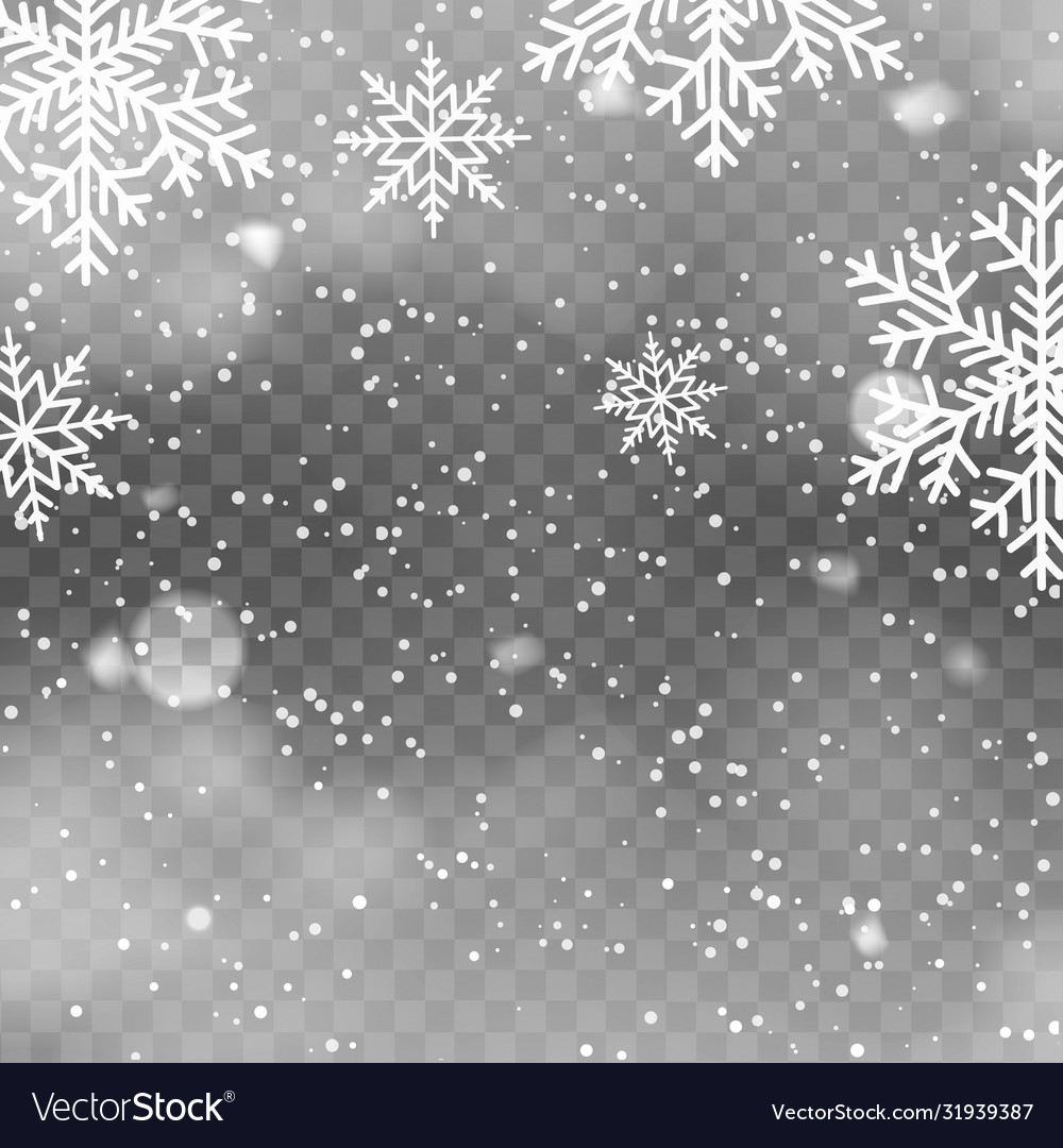 Realistischer Schneefall auf transparentem Hintergrund vector image Realistischer Schneefall auf transparentem Hintergrund