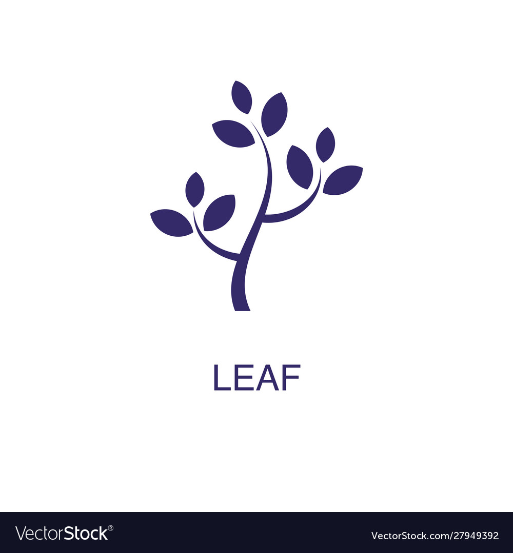 Leaf element in flat simple style on white