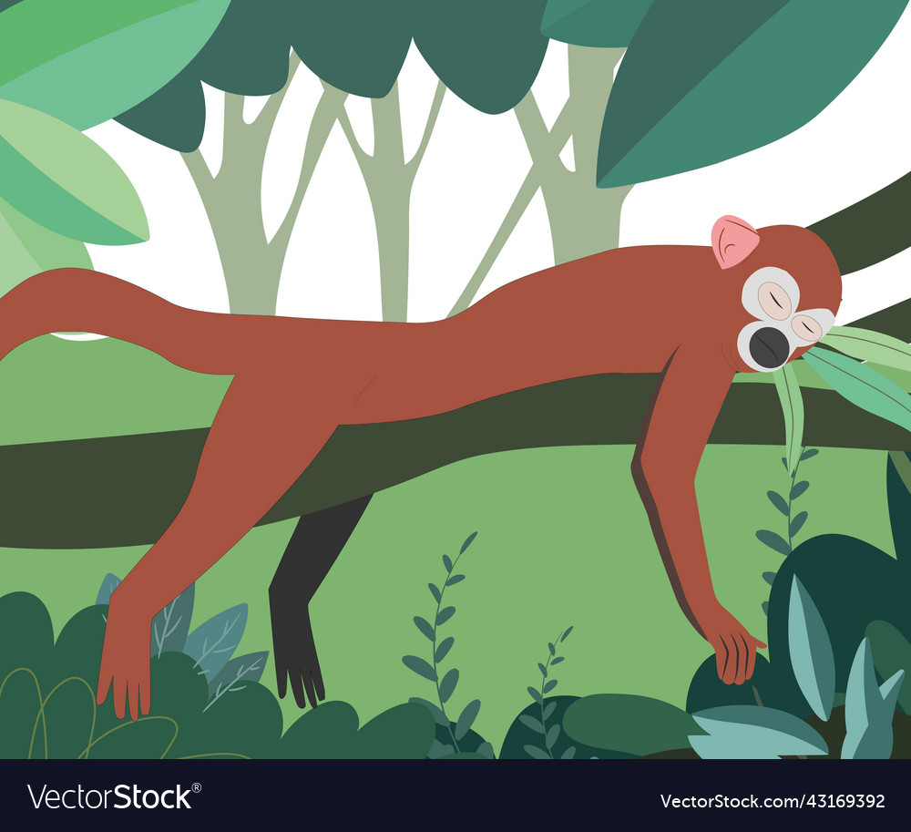Monkey sleeping on a tree branch vector image Monkey sleeping on a tree branch