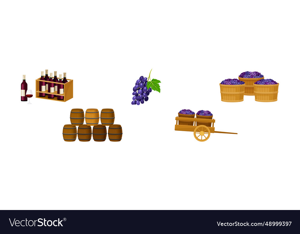 Grape wine production with alcoholic fermentation Vector Image