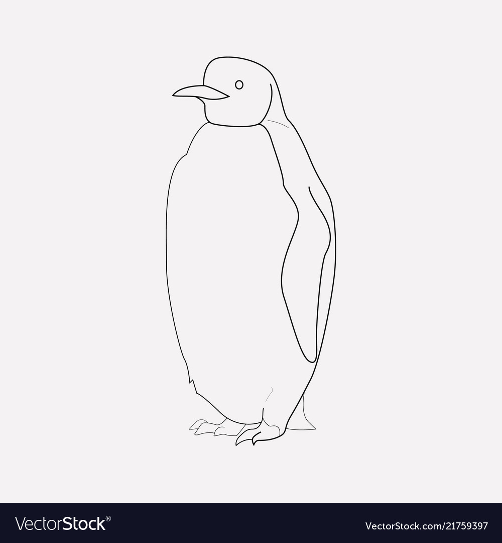 Penguin icon line element vector image Penguin icon line element