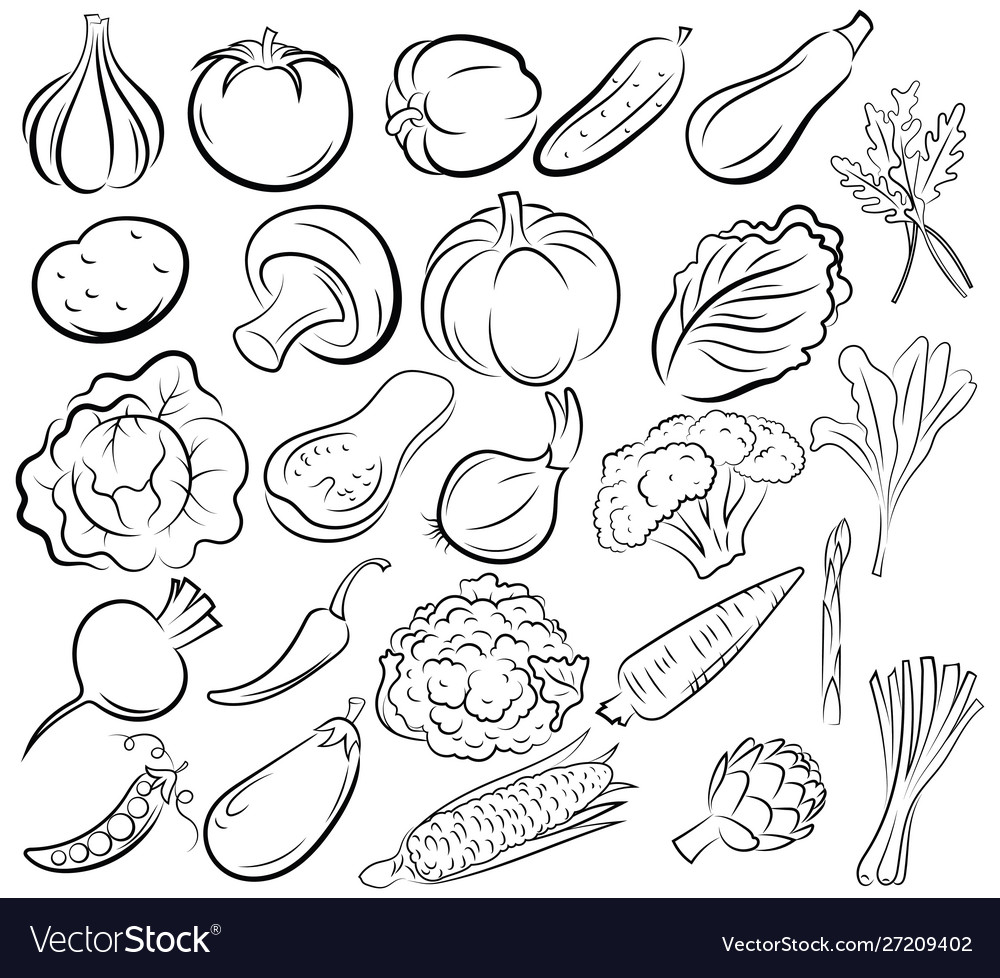 Set vegetables collection black and white Vector Image