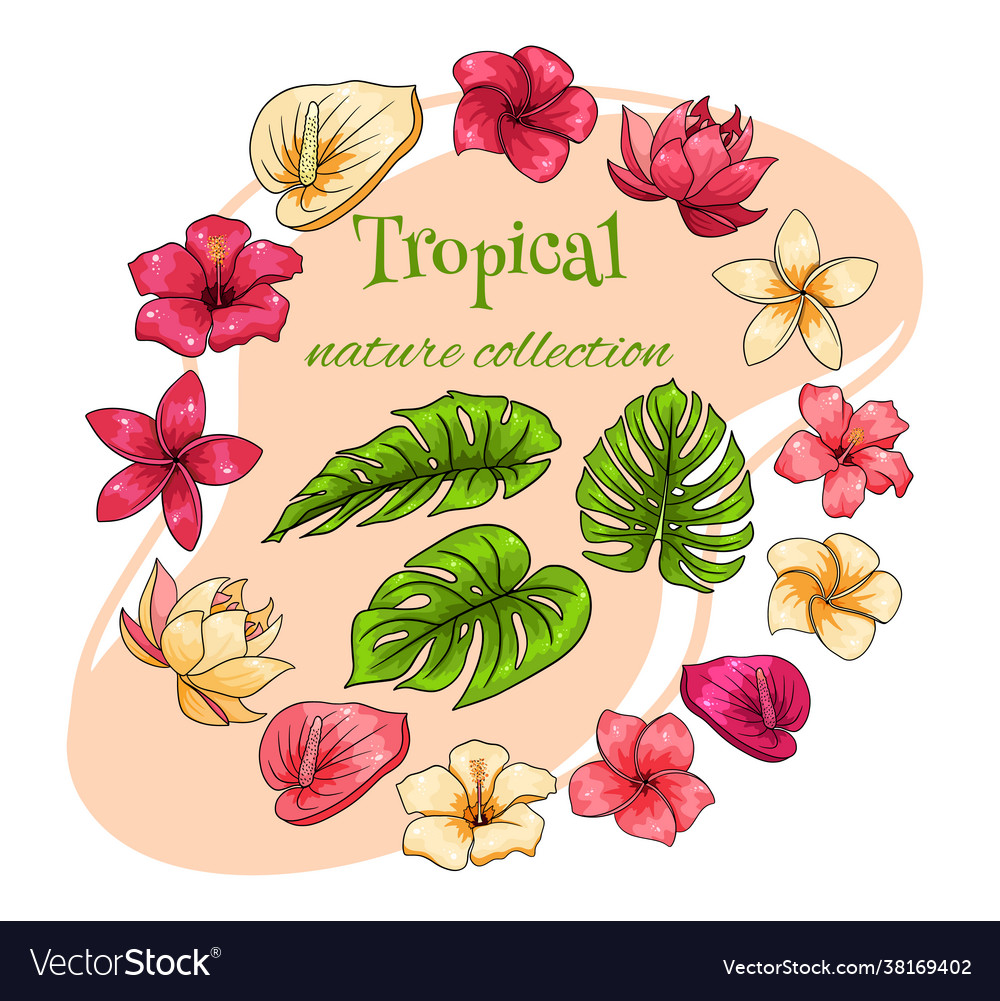 Tropical collection with exotic flowers and leaves