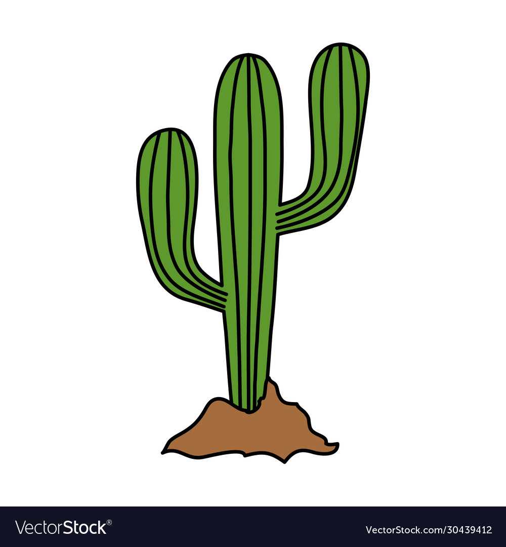 Isolated cactus plant design Royalty Free Vector Image