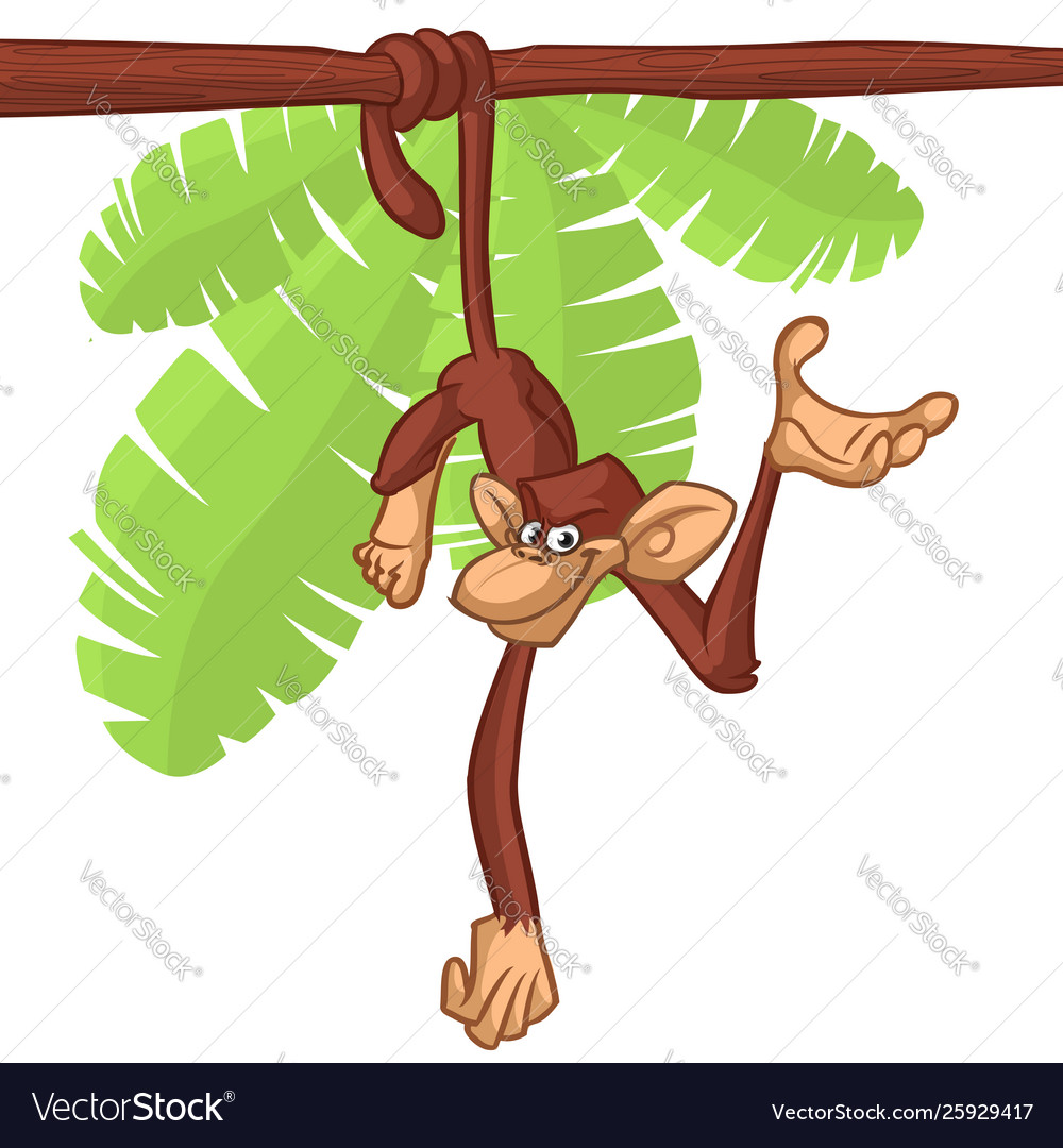 Cartoon monkey chimpanzee