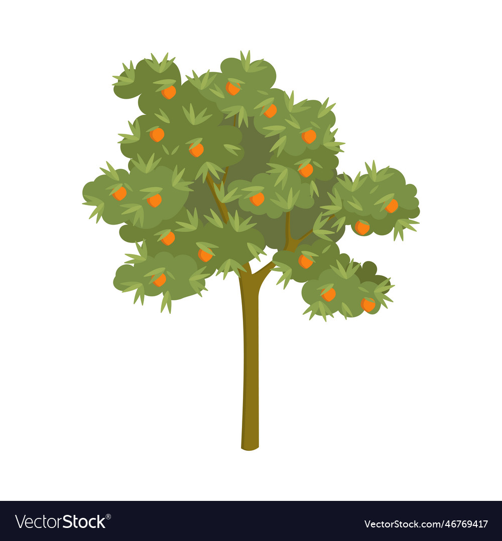 Tangerine tree with ripe fruits cartoon