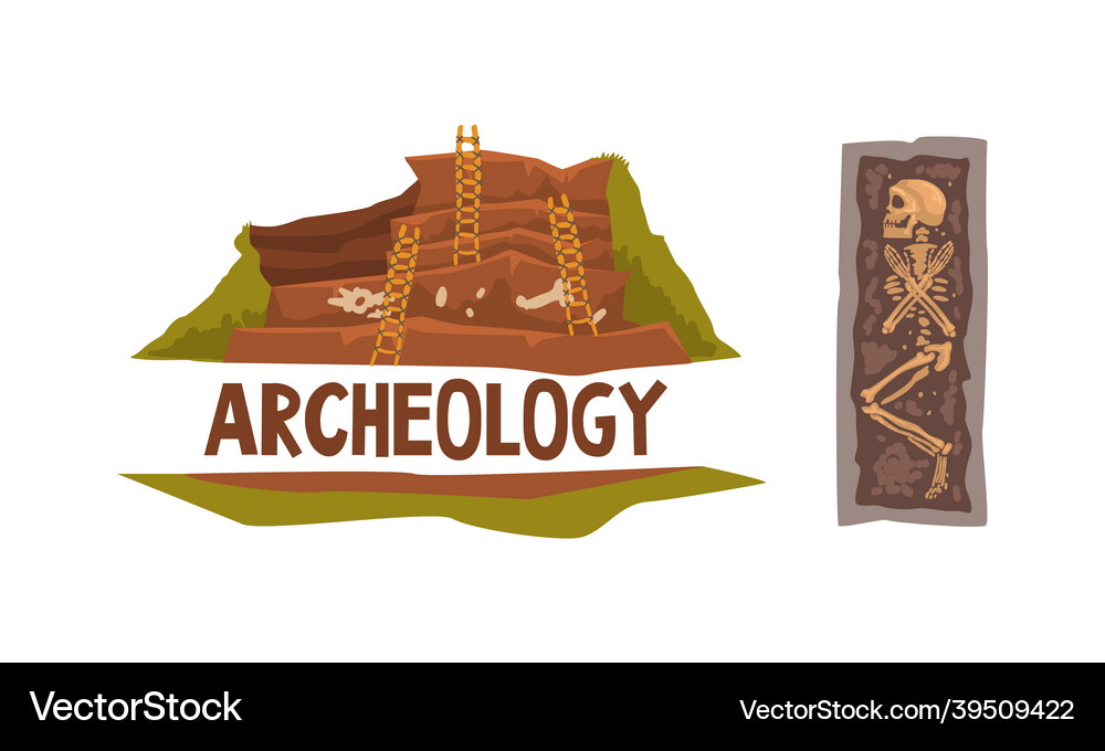Archeology and paleontology ancient artifacts Vector Image