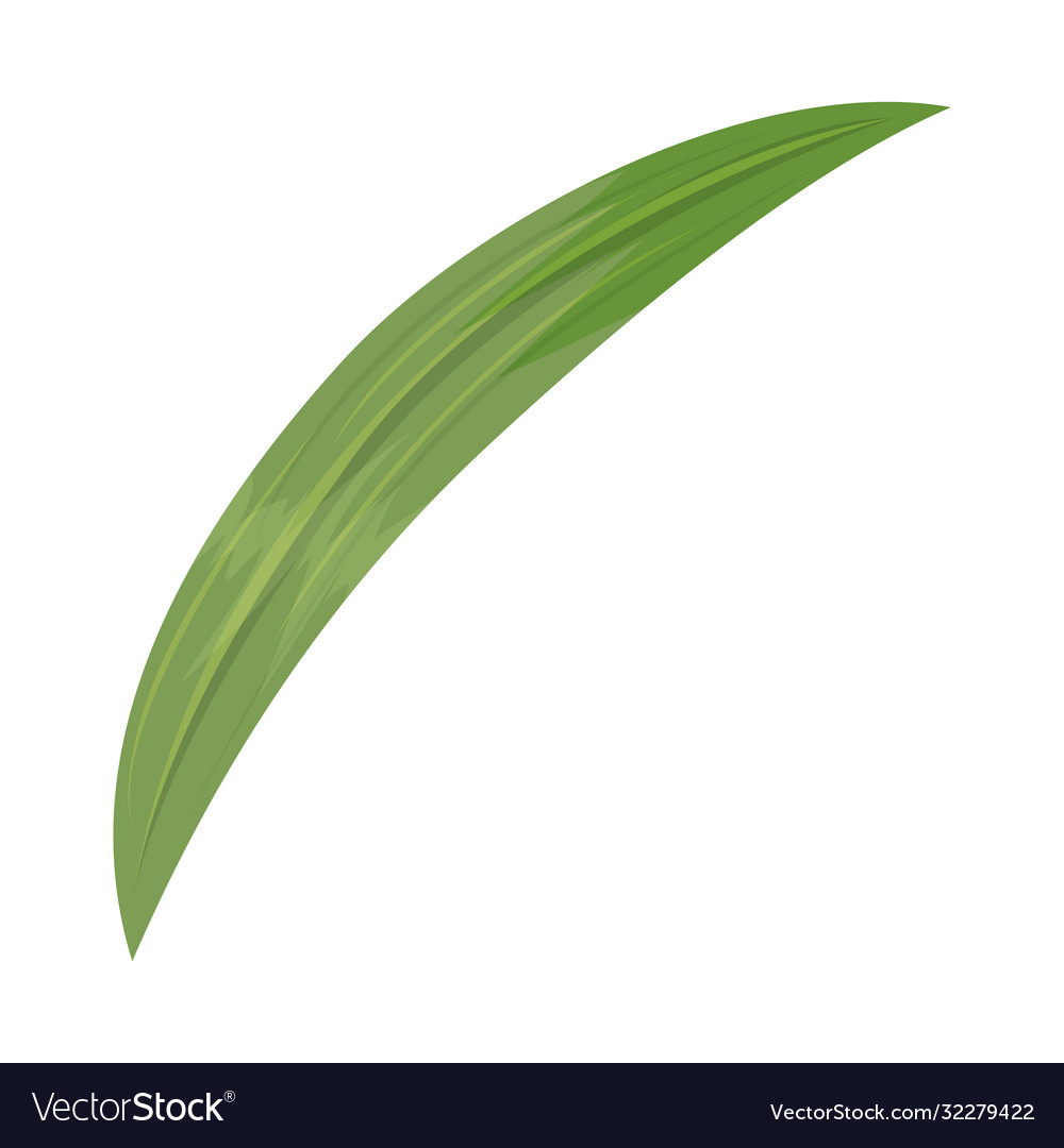 Isoliertes Objektblatt und Palmzeichenbahnelement