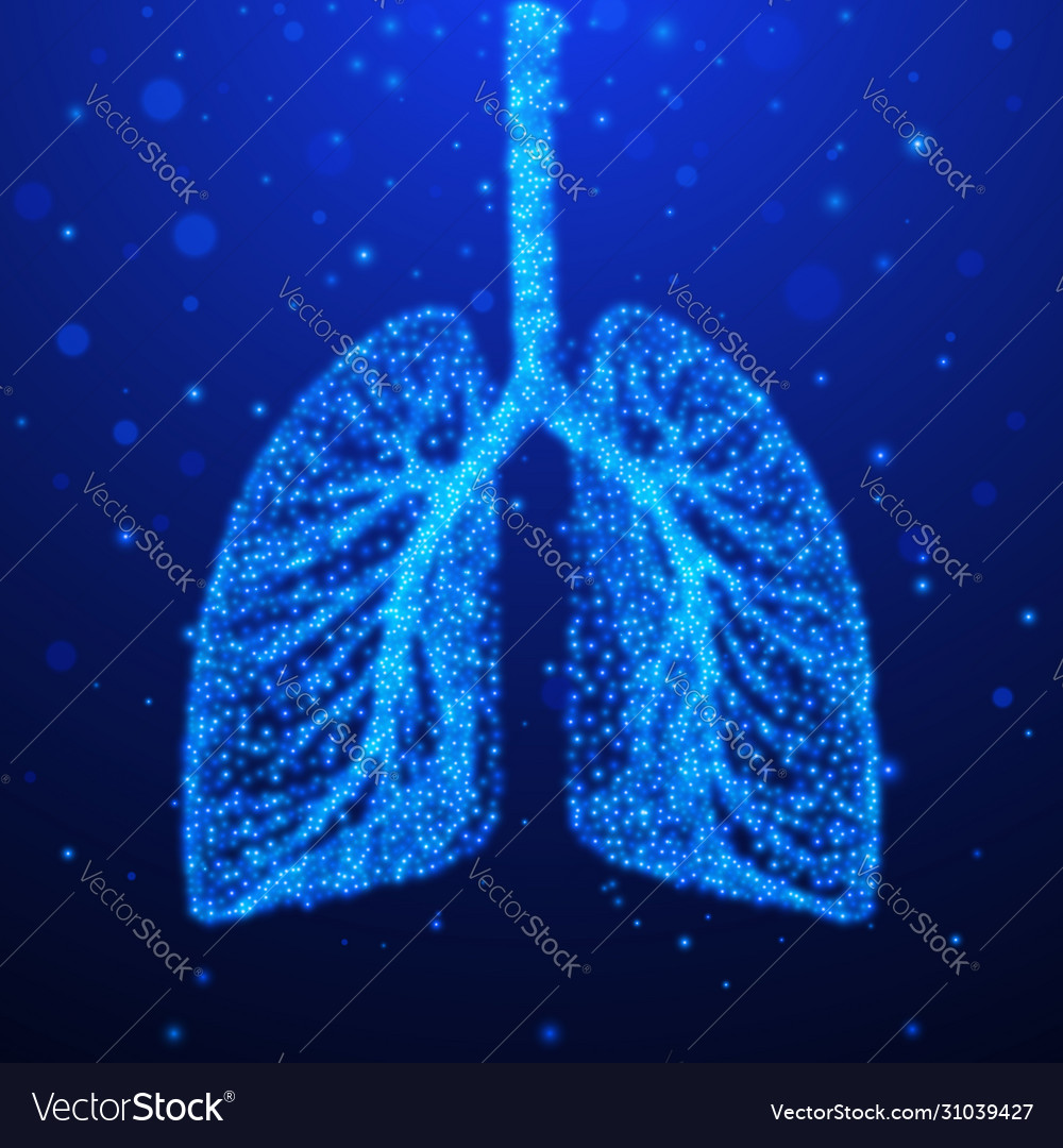 Human lungs respiratory system Royalty Free Vector Image