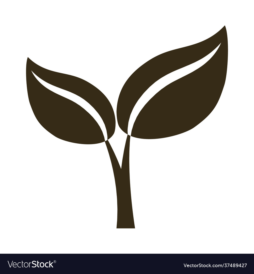 Plant icon image