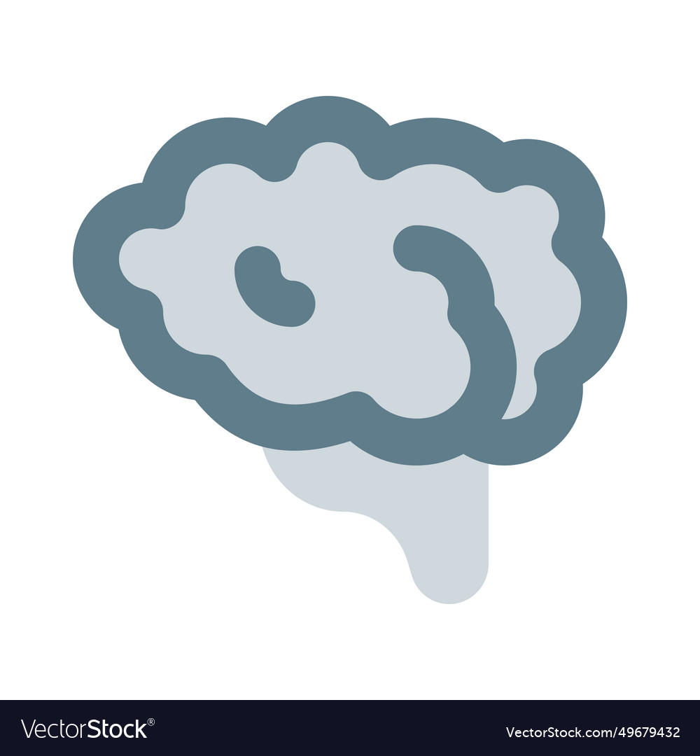 Brain one of the largest and most complex organs
