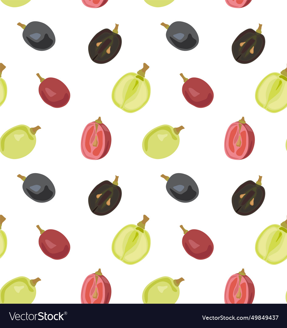 Berries of red green and black grapes Vector Image Berries of red green and black grapes