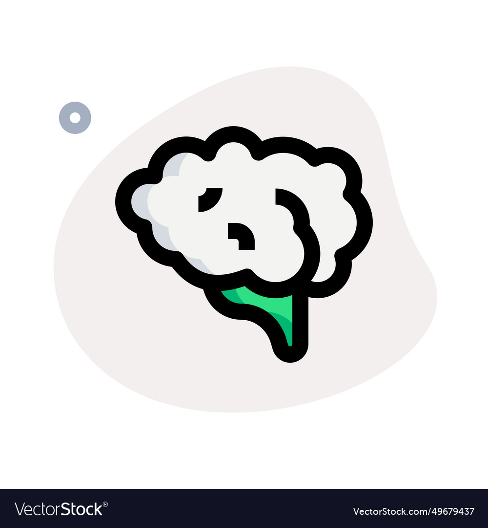 Brain one of the largest and most complex organs