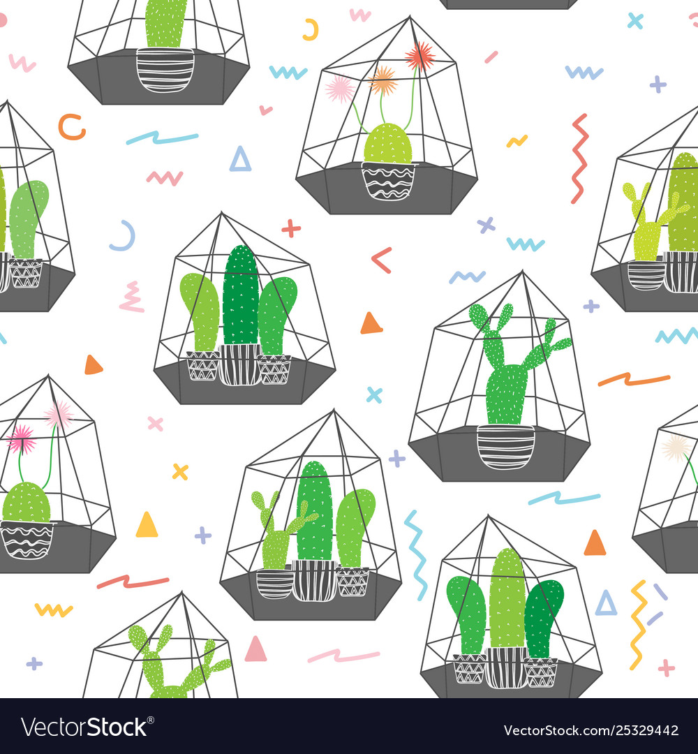 Cactuses in glass terrariums with geometric vector image Cactuses in glass terrariums with geometric