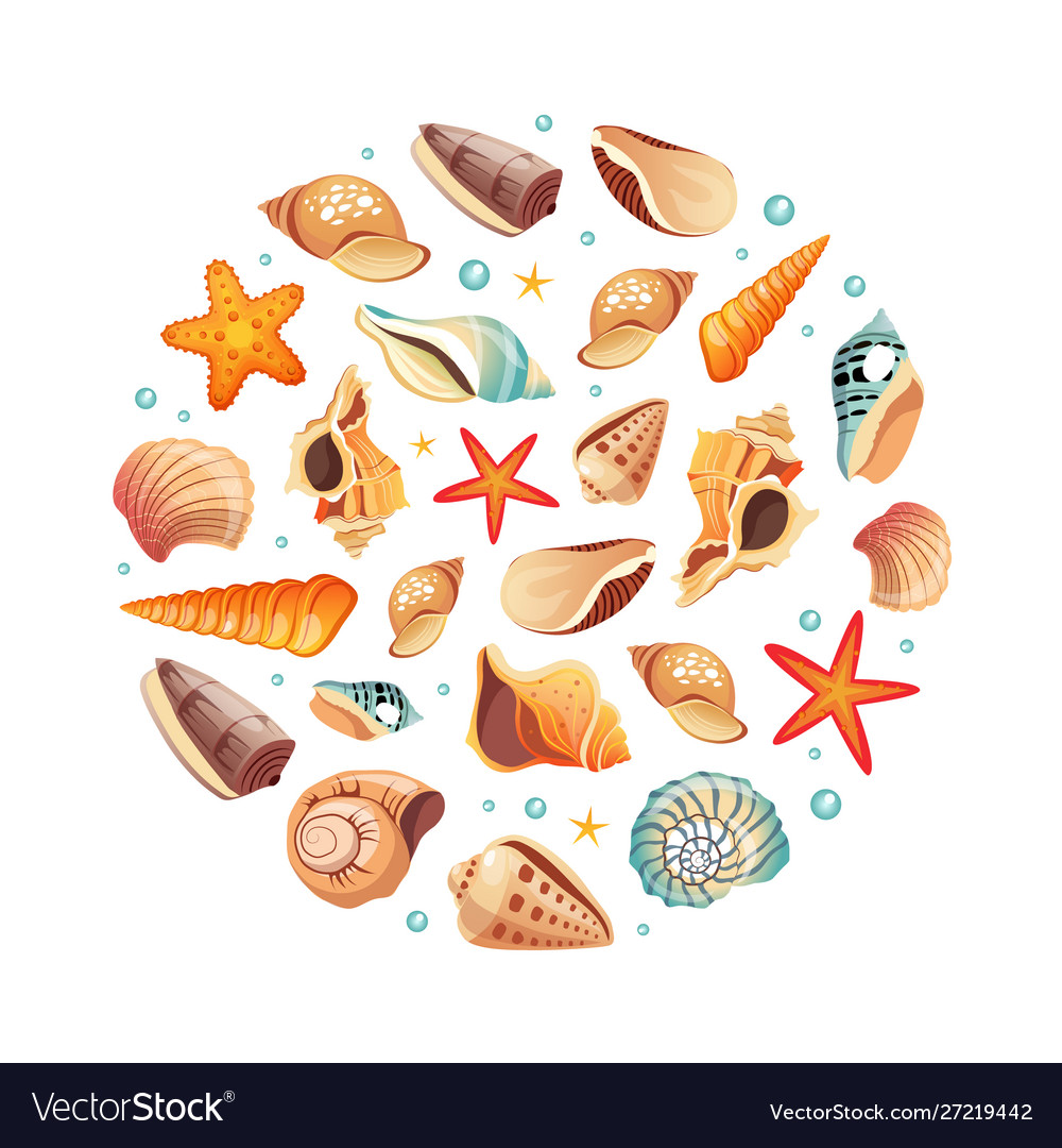Seashell Round Pattern - Summer Ocean
