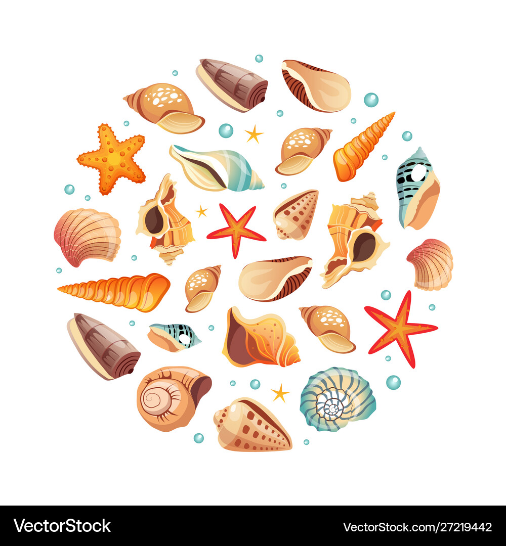 Seashells seamless pattern round shape summer Vector Image