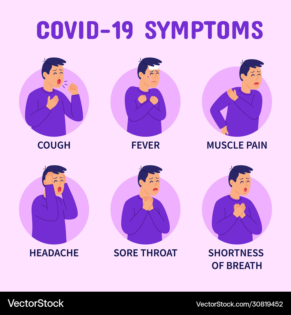 Coronavirus corofos19 symptoms infographics Vector Image