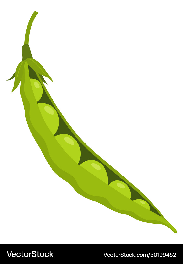 Green pea pod vegetable icon element Royalty Free Vector