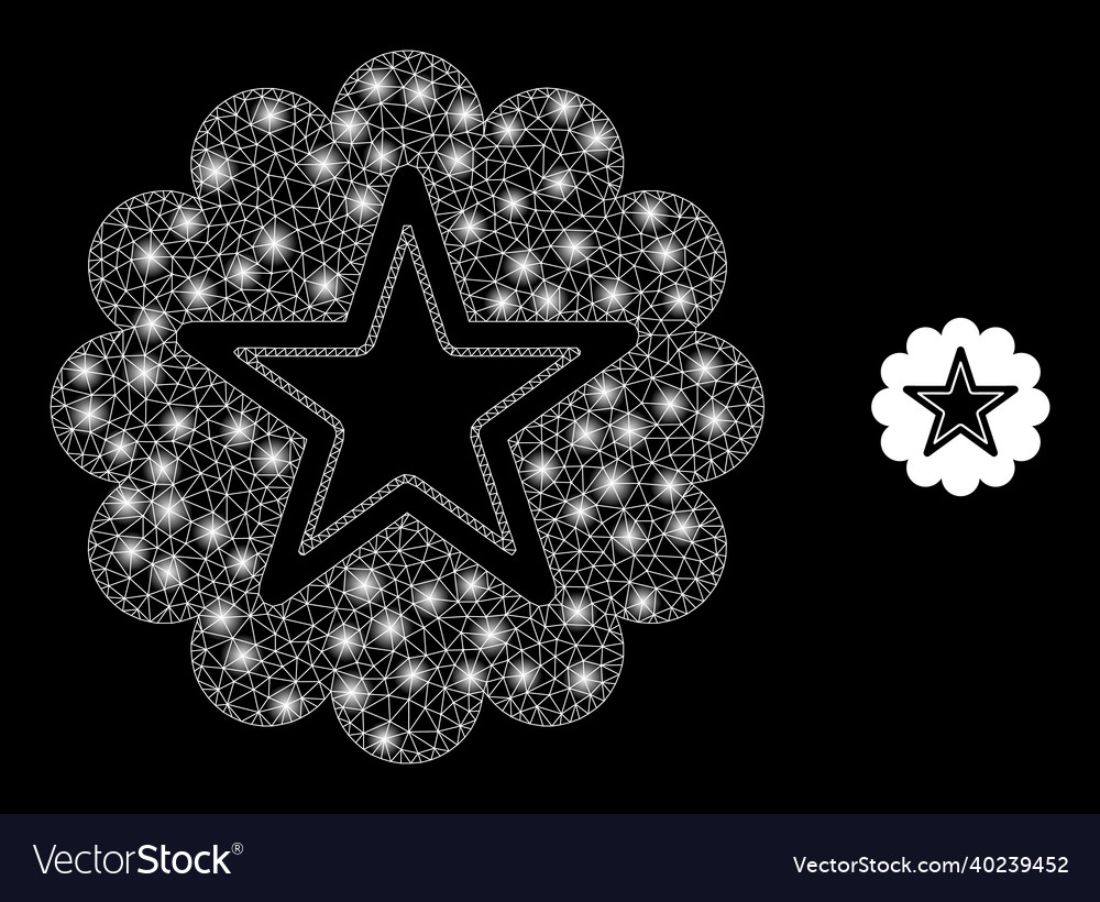 Mesh net star rosette with majestic network vector image Mesh net star rosette with majestic network