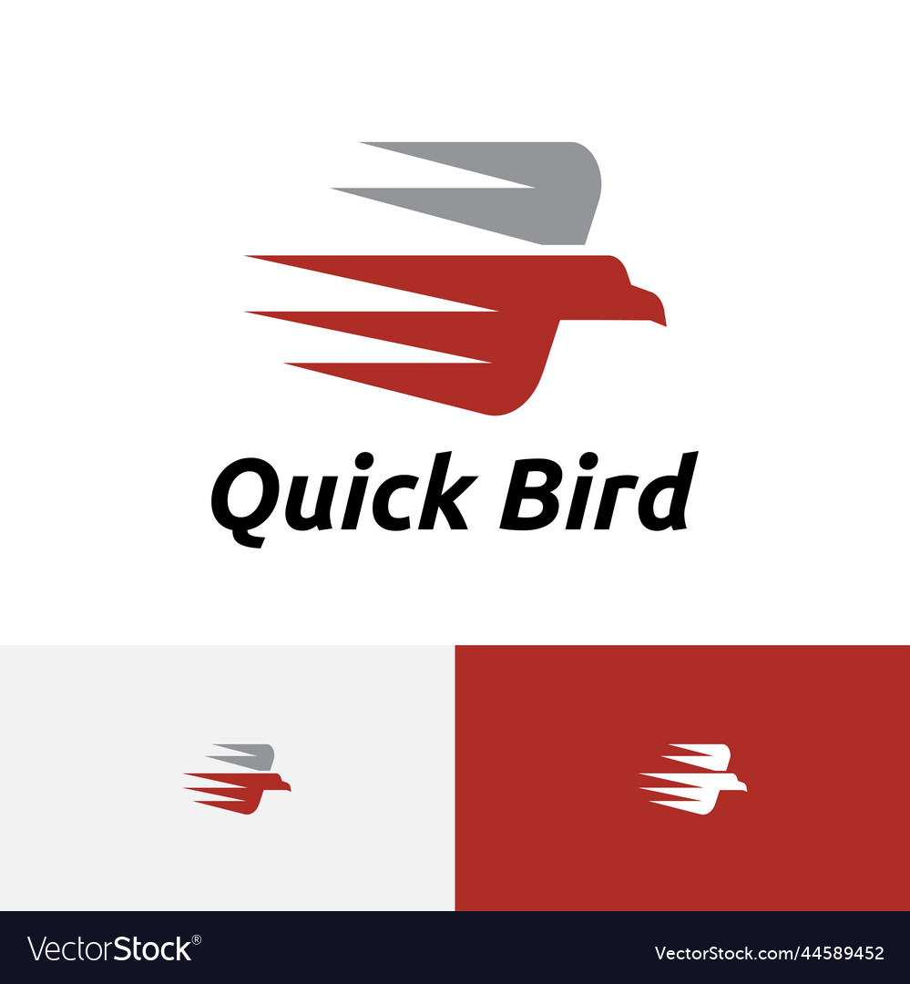 Quick bird fast rapid eagle flying wings logo Vector Image