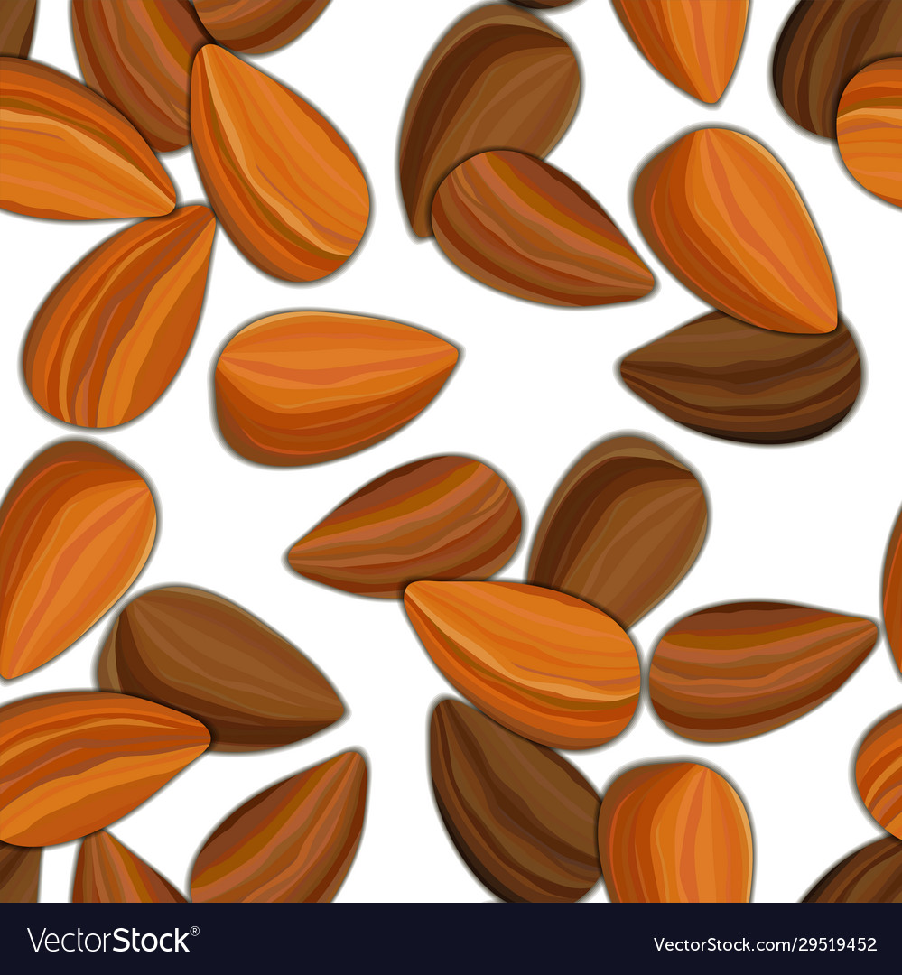 Seamless pattern whole peeled almonds