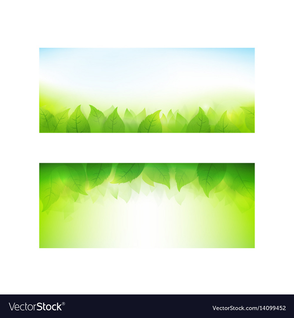 Set of banner gradient green background element