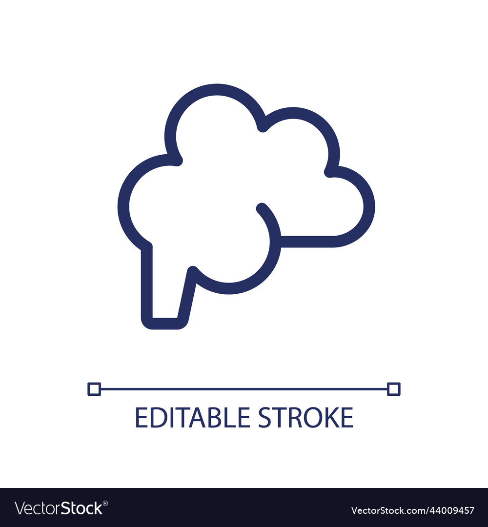 Brain pixel perfect linear ui icon Vector Image Brain pixel perfect linear ui icon