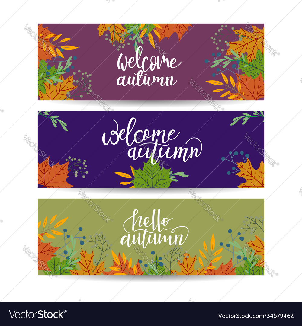 Set three banners with colorful autumn leaves Vector Image