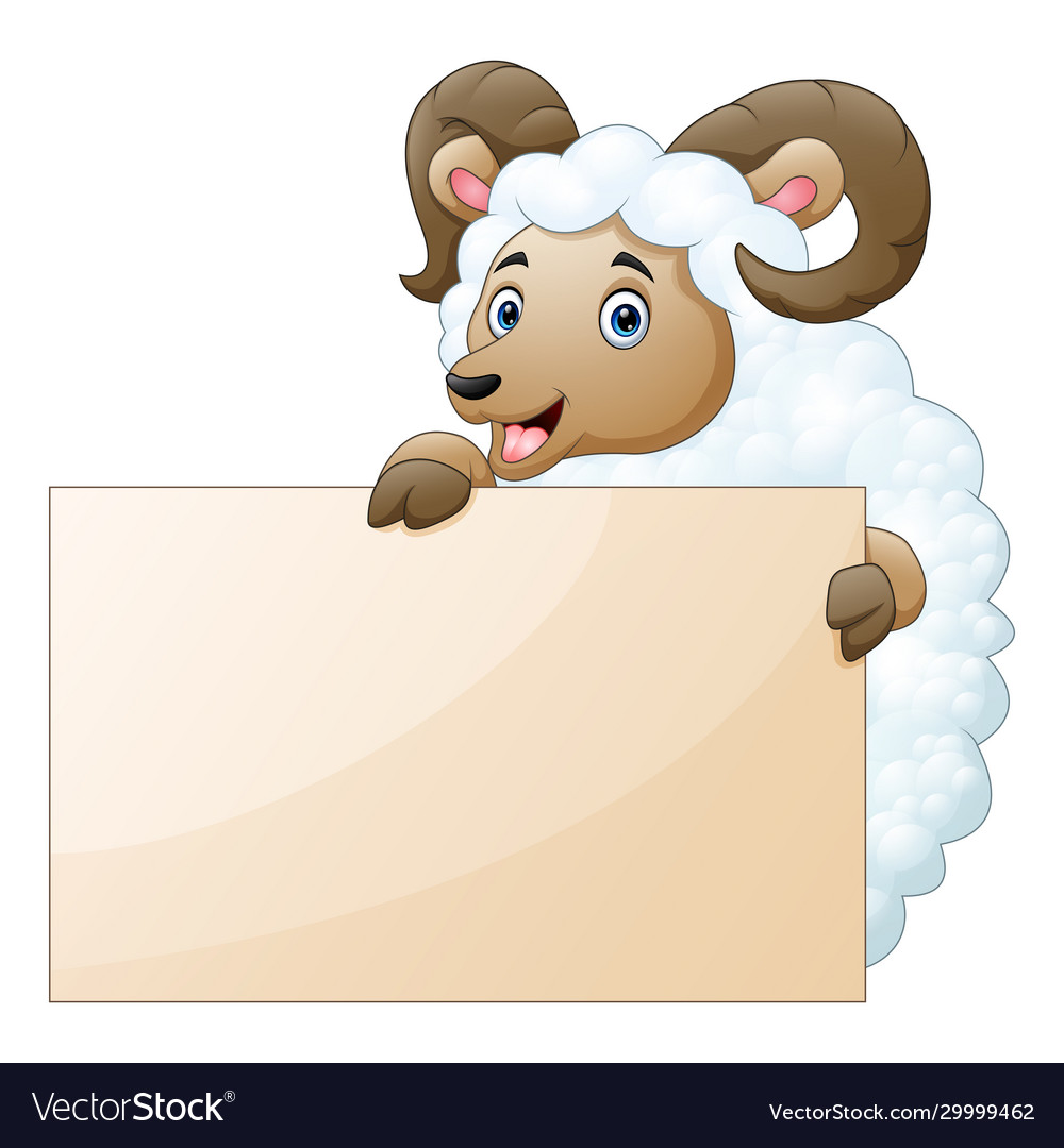 Sheep with empty boards on a white background