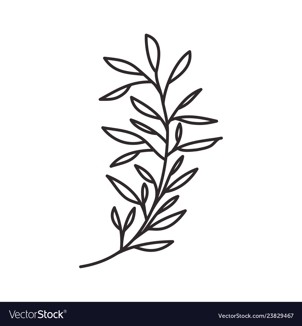 Branch with leaf isolated icon