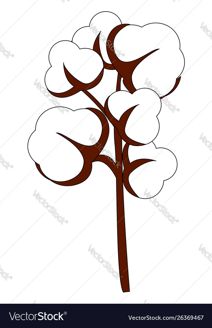 Cotton drawing on white background Royalty Free Vector Image