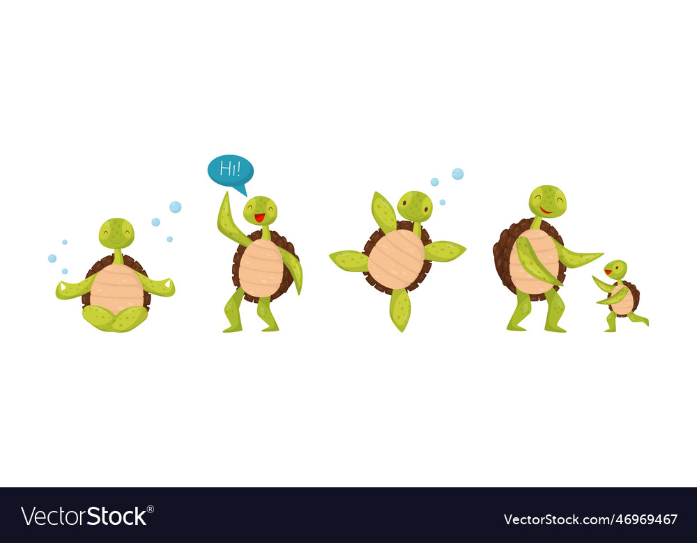 Funny turtle or tortoise with shell engaged