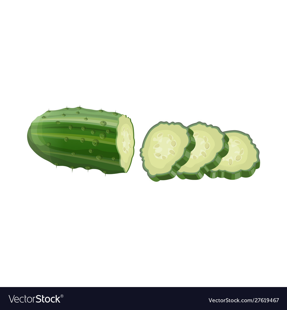 Half cucumber with few slices realistic